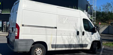 Renault MASTER III 2019