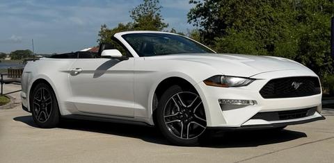 Ford Mustang 2019