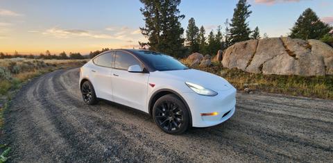 Tesla Model Y 2020