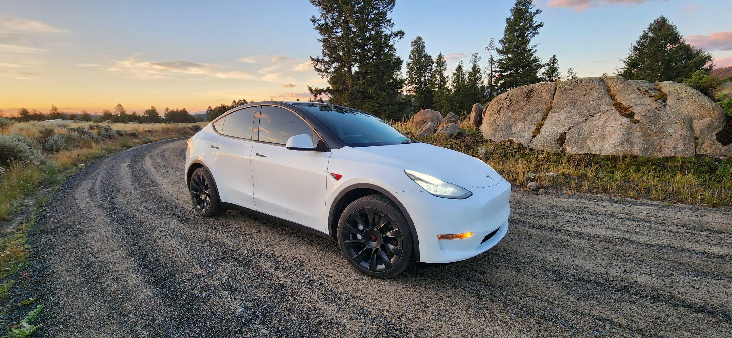 Tesla Model Y 2020 in Reno, NV