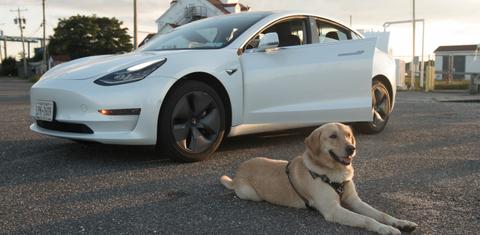 Tesla Model 3 2019
