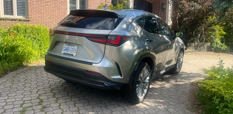 Lexus NX 2022