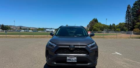 Toyota RAV4 2024