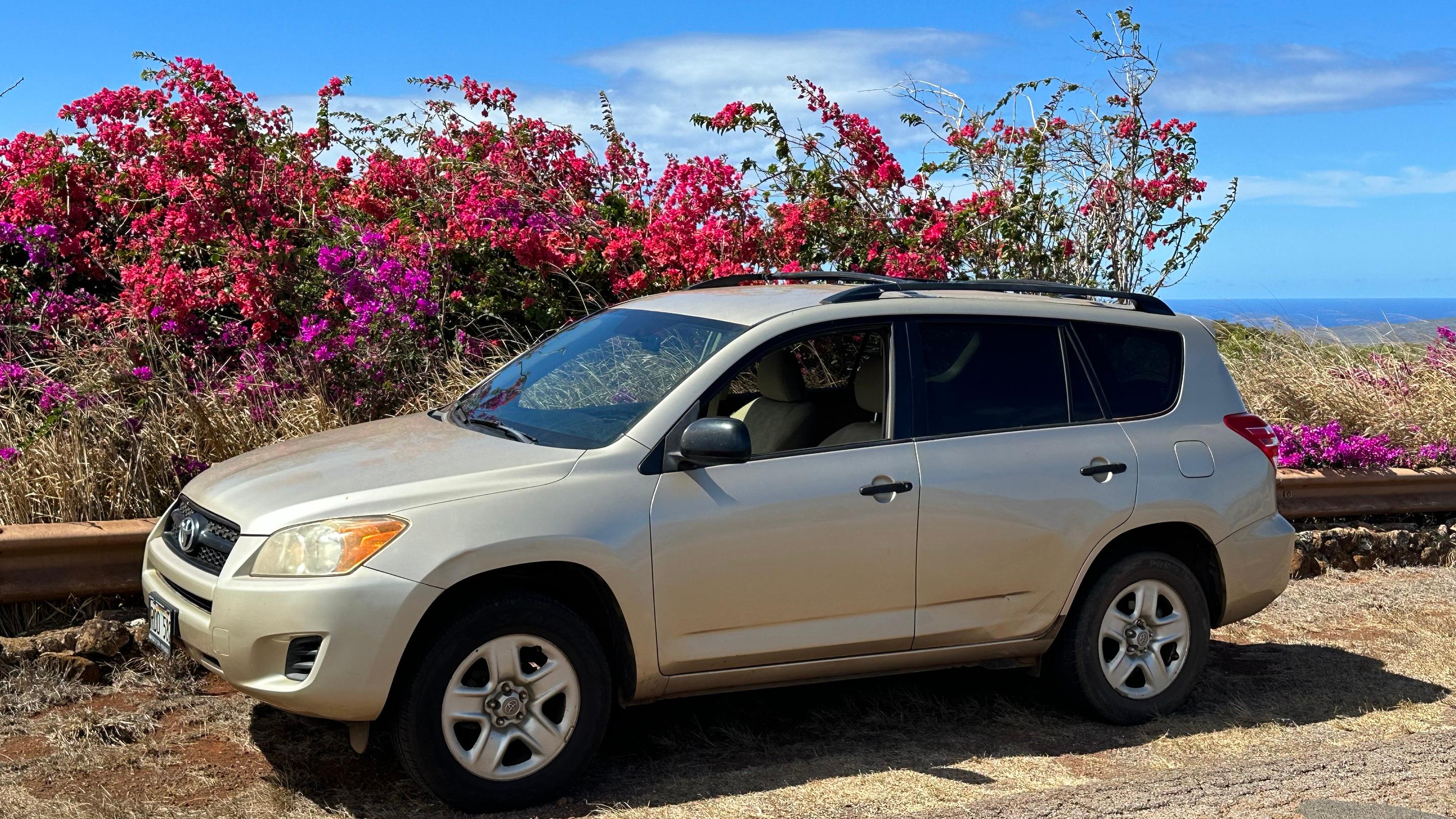 Toyota RAV4 2010 in Ho'olehua, HI