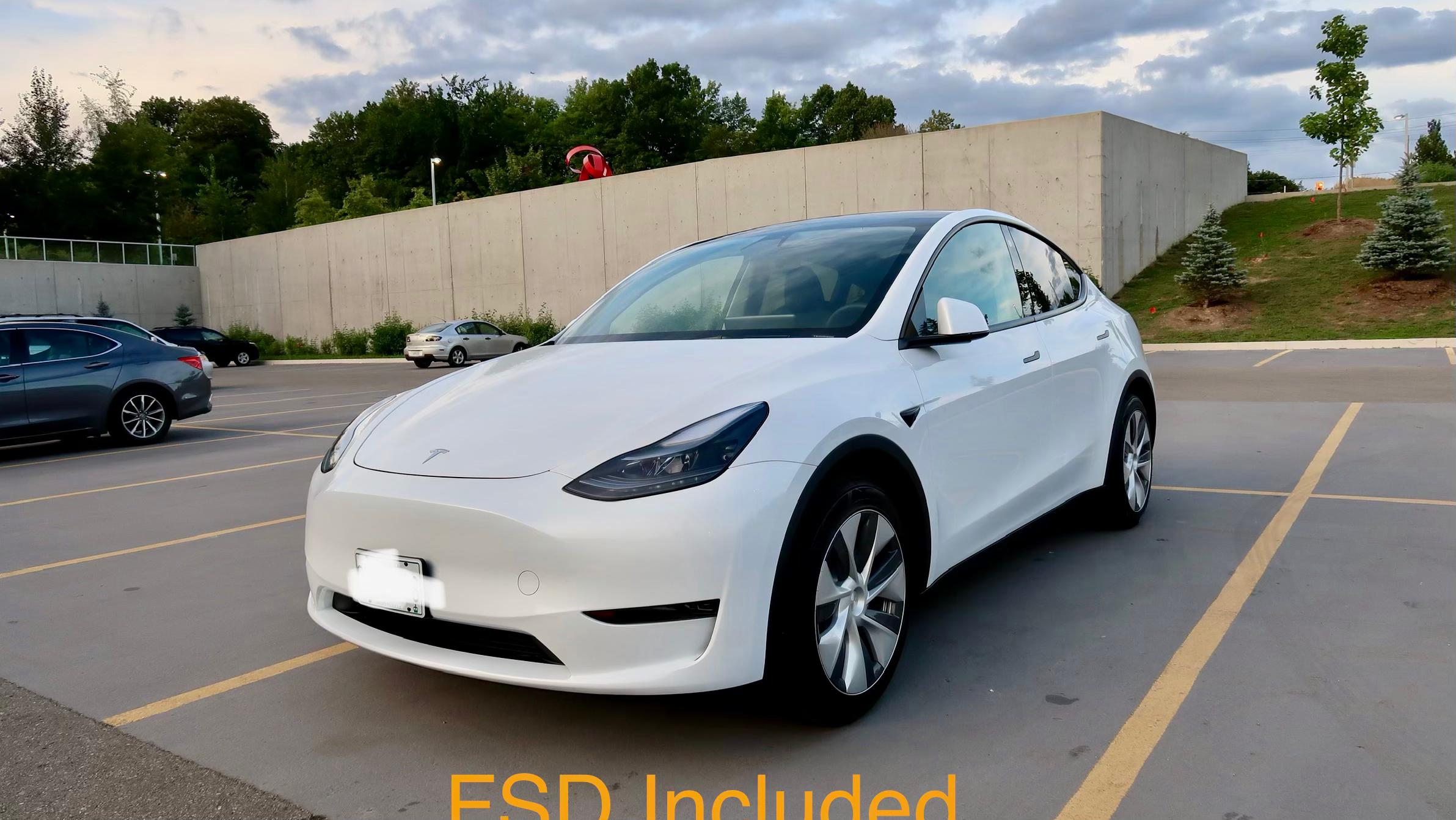 Tesla Model Y 2023 à Toronto, ON