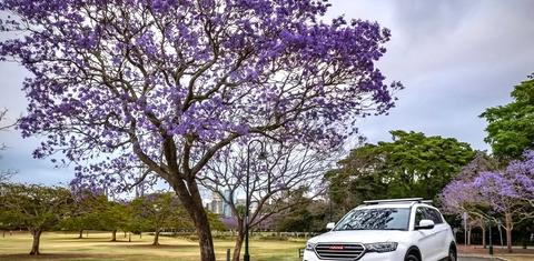 HAVAL H6 2020