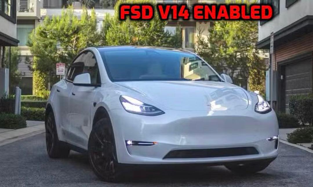 2024 Tesla Model Y in Bothell