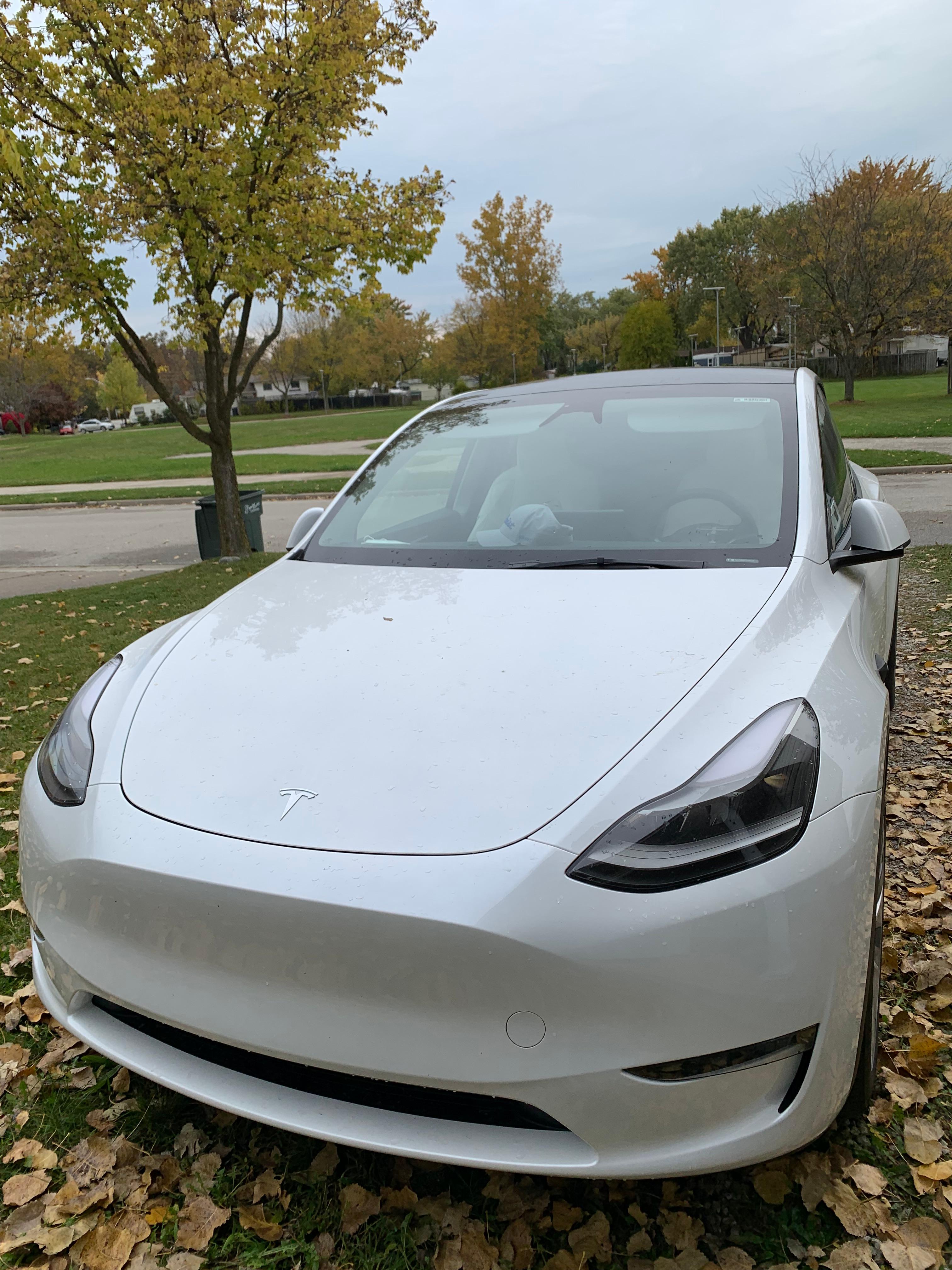 Tesla Model Y 2023 in Sterling Heights, MI