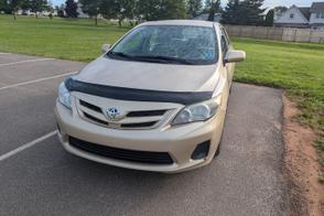 Toyota Corolla car