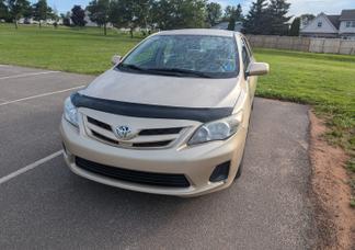 Toyota Corolla car