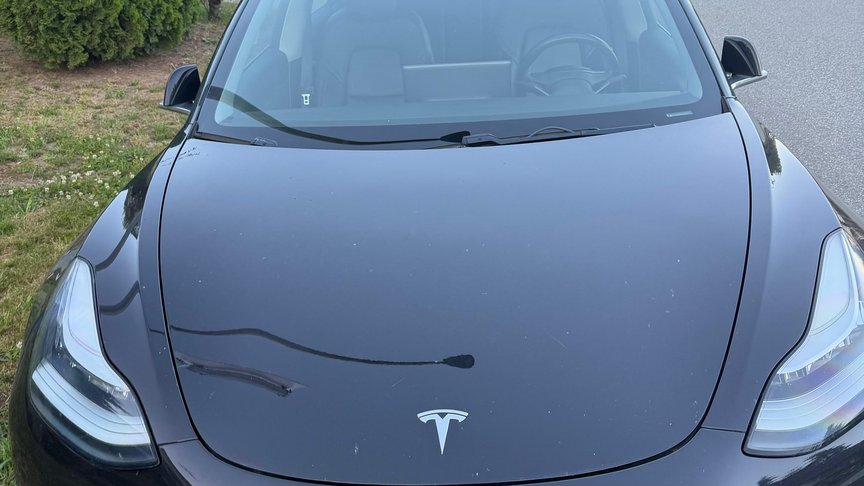 Tesla Model 3 2019 in Mission, BC