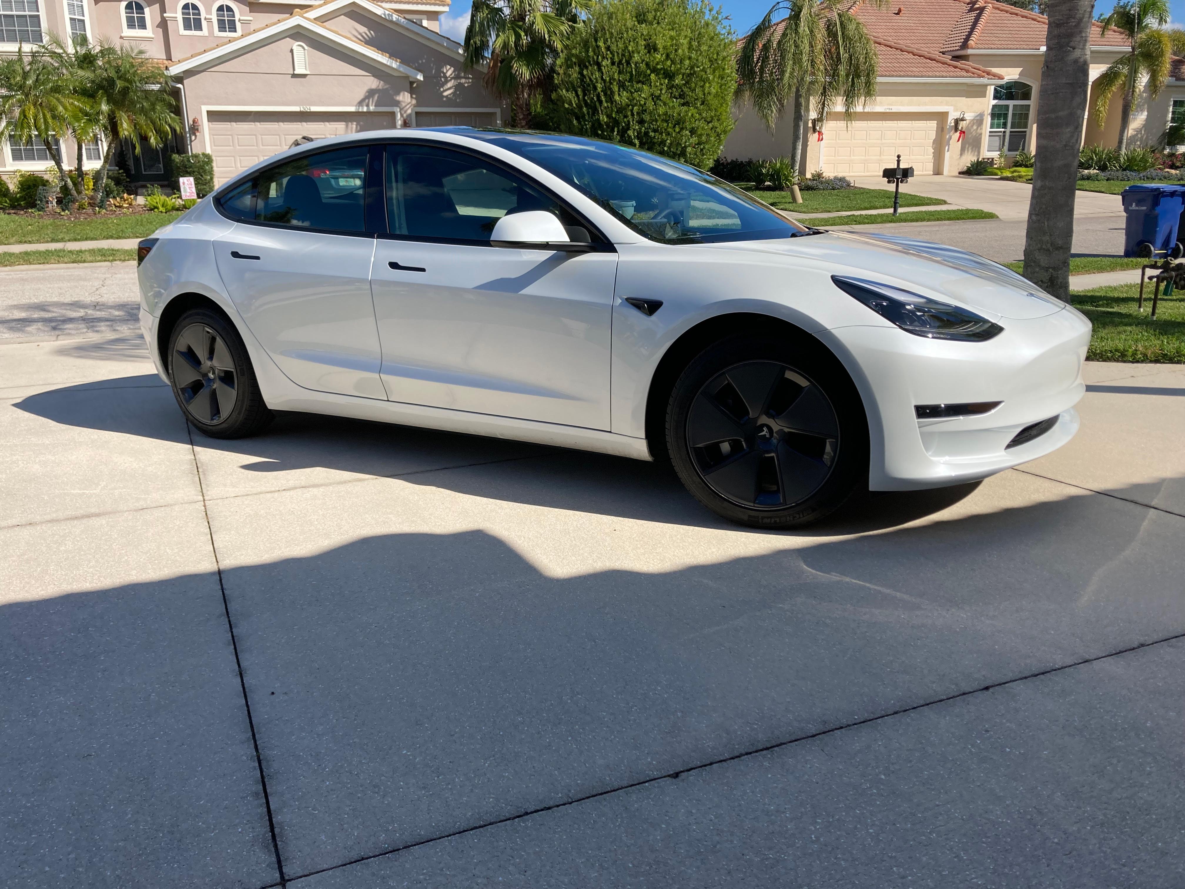 Tesla Model 3 2023 in Sarasota, FL