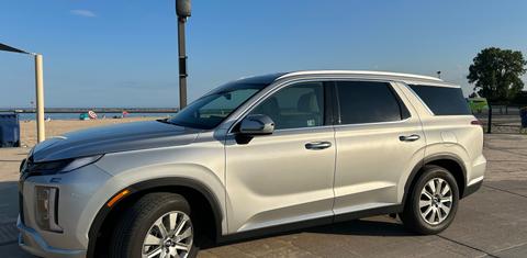 Hyundai Palisade 2024