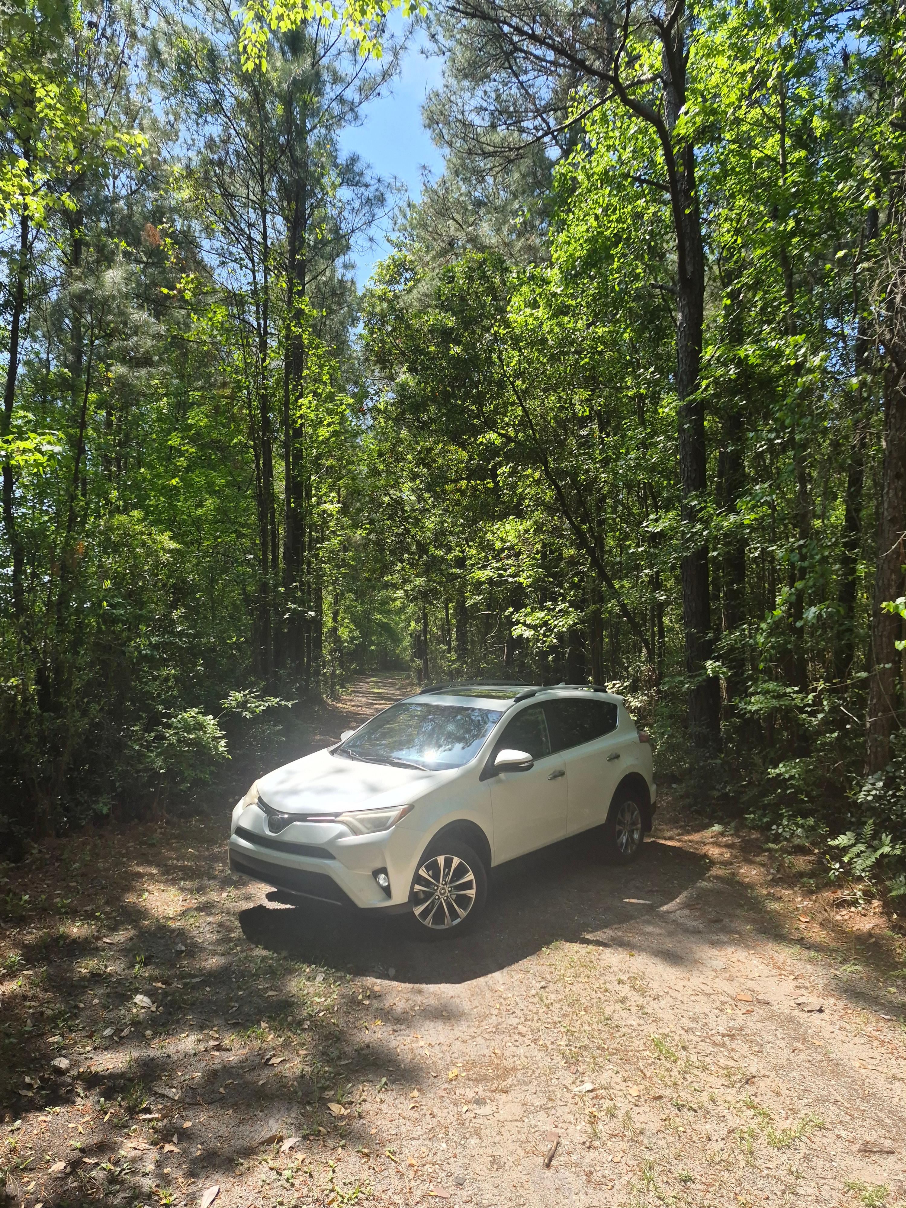 Toyota RAV4 2017 in Wilmington, NC