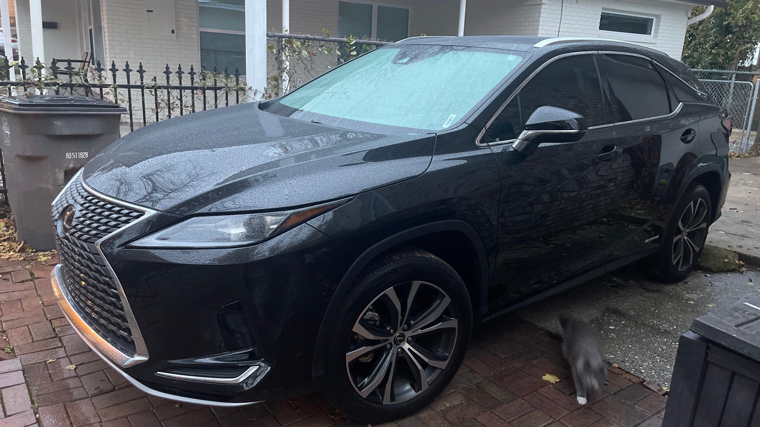 Lexus RX 2022 in Hot Springs, AR
