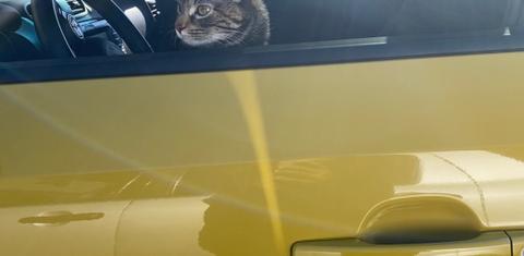 Kia Soul 2014