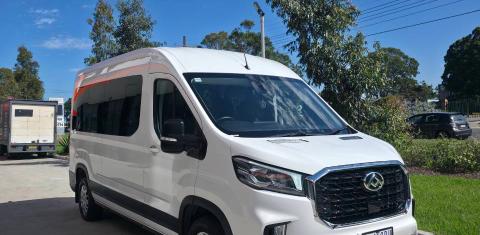 LDV V80 2025