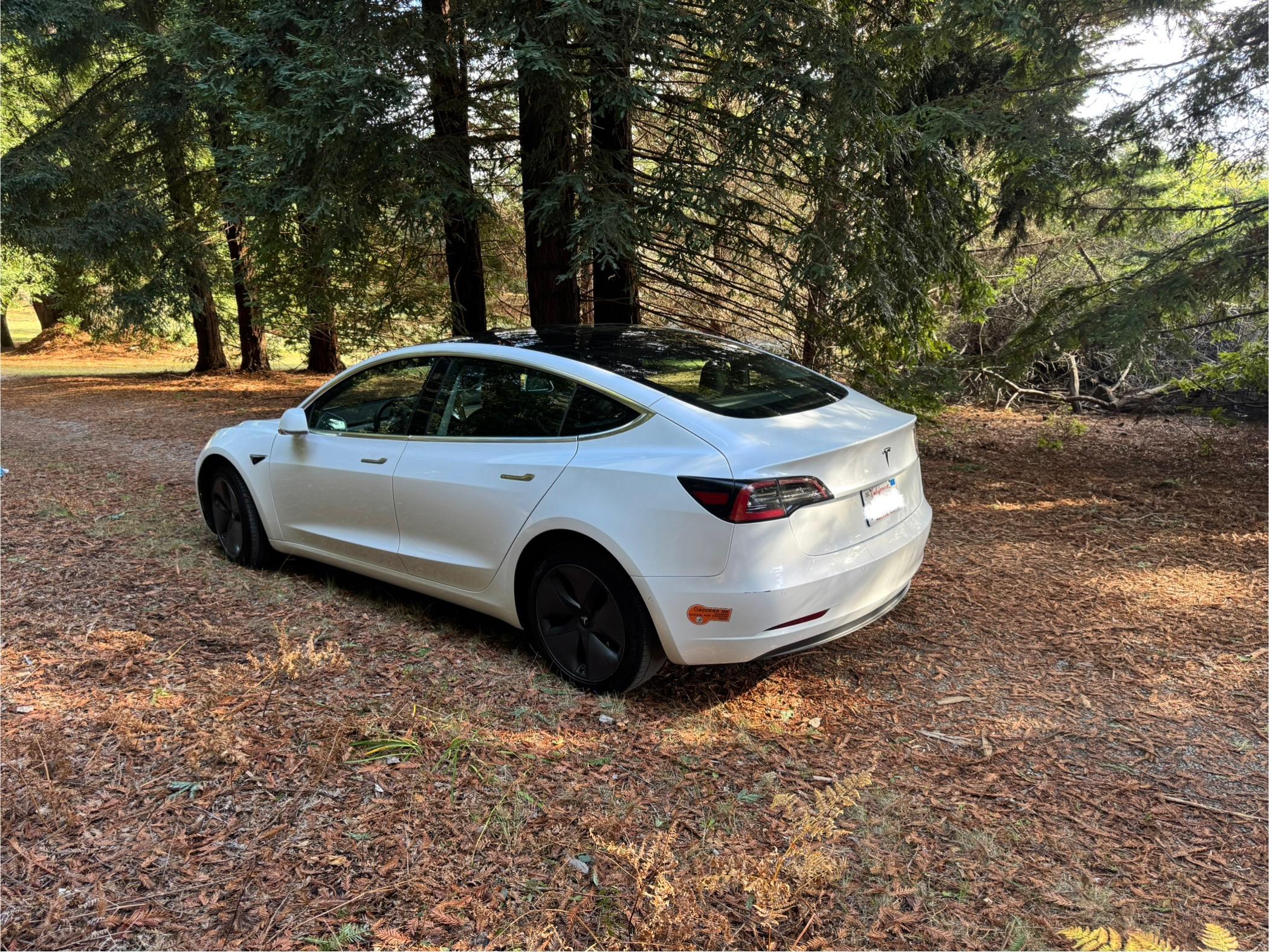 Tesla Model 3 2020 in 