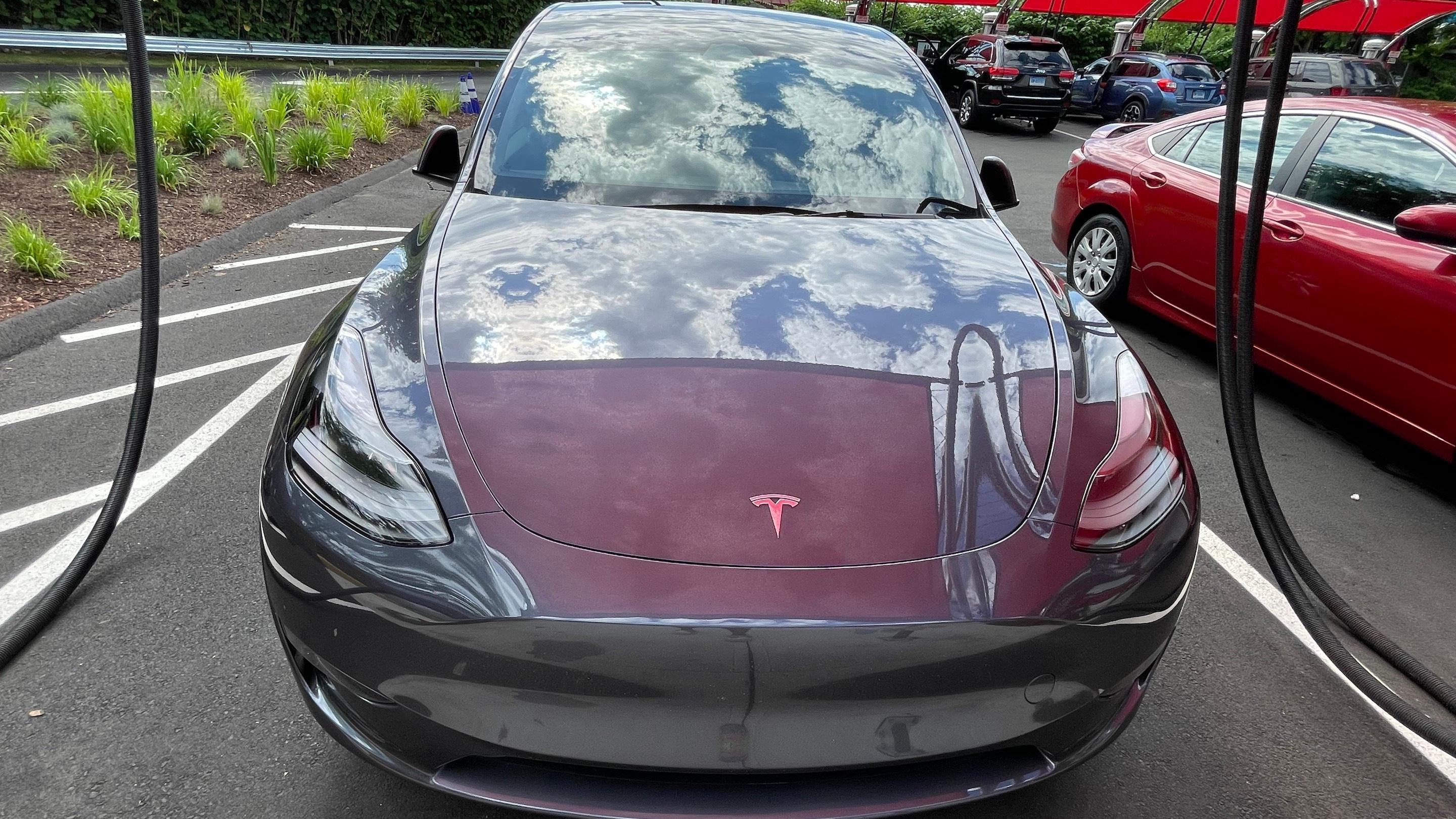 Tesla Model Y 2023 in Waterbury, CT