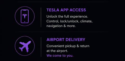 Tesla Model X 2020