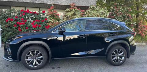 Lexus NX 2020