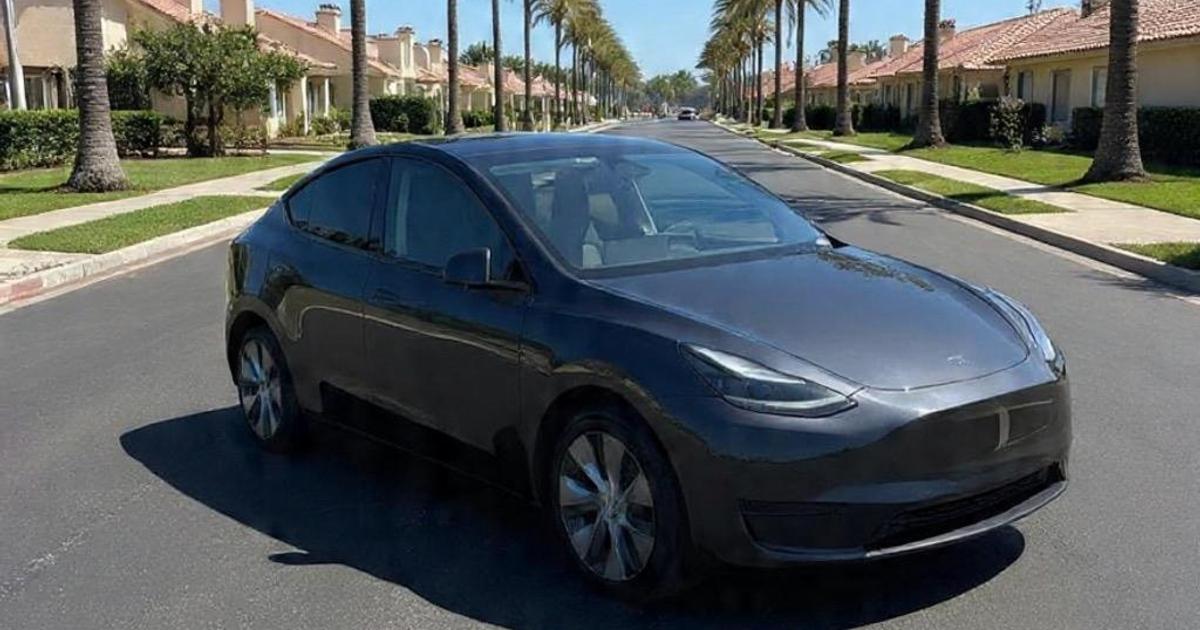 2024 Tesla Model Y in Brandon