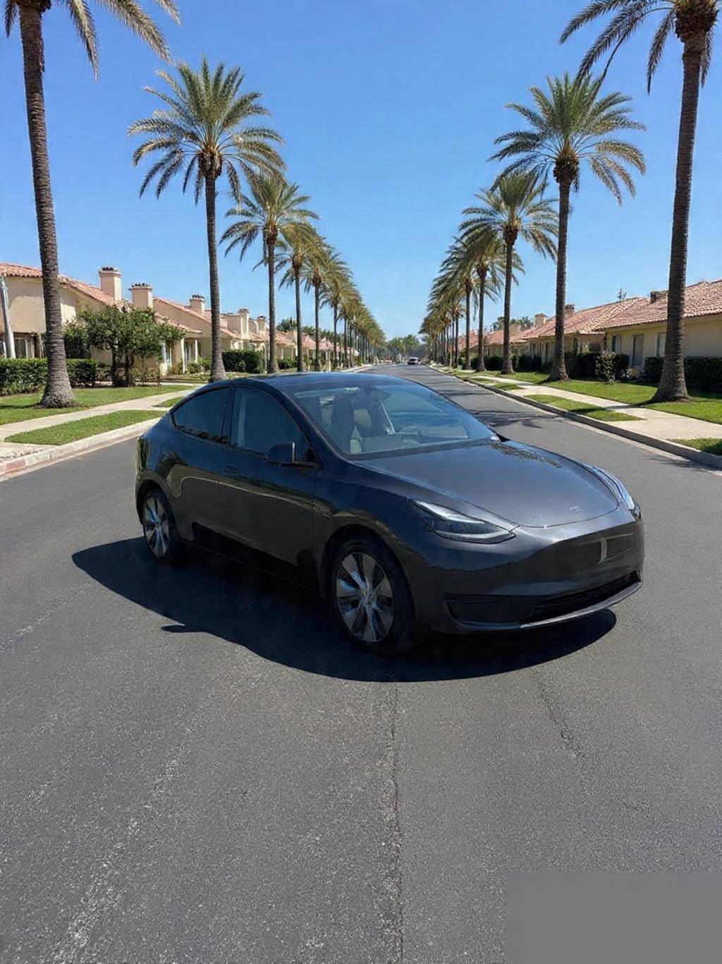Tesla Model Y 2024 in Brandon, FL