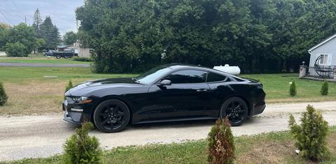 Ford Mustang 2019