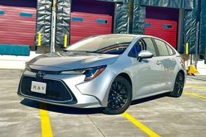 Toyota Corolla car