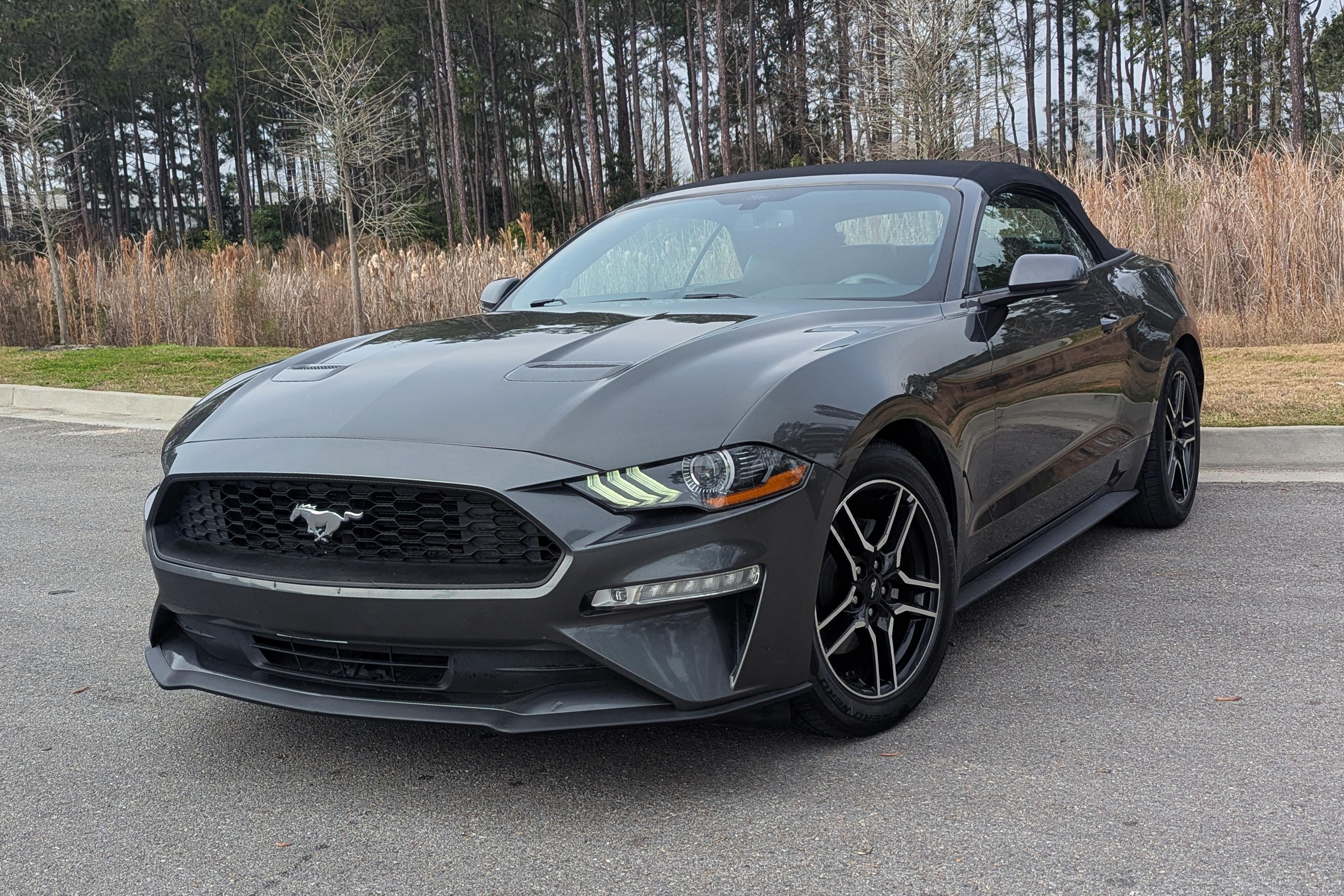 Ford Mustang 2019 in Biloxi, MS