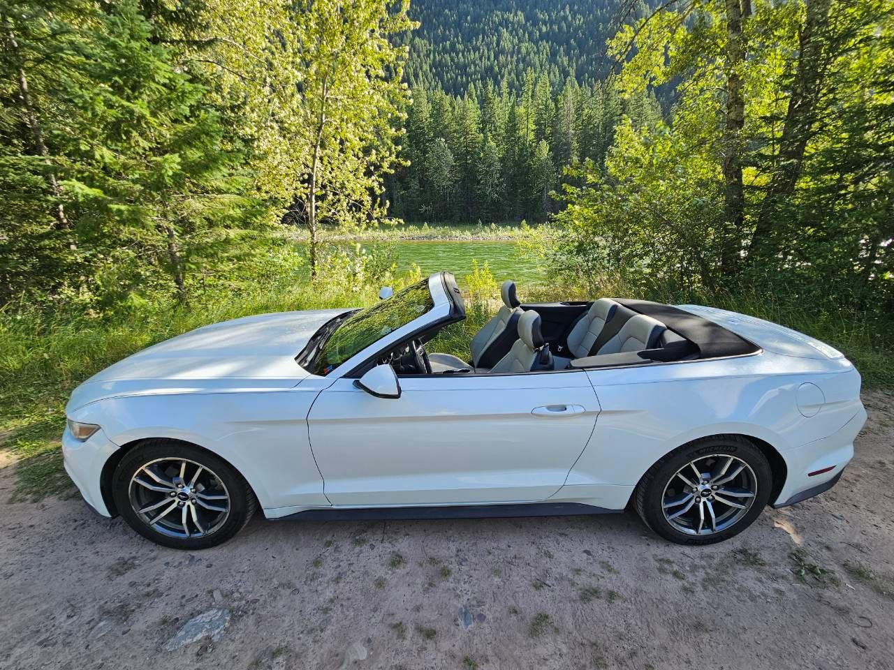 Ford Mustang 2015 in West Glacier, MT