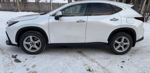 Lexus NX 2024
