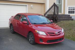 Toyota Corolla car
