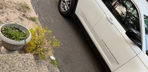 Jeep Grand Cherokee L 2025