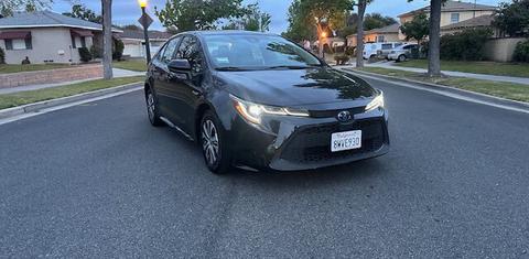 Toyota Corolla Hybrid 2021