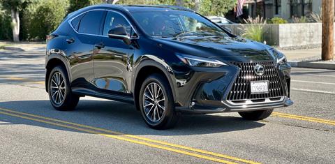 Lexus NX 2024