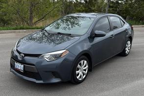 Toyota Corolla car