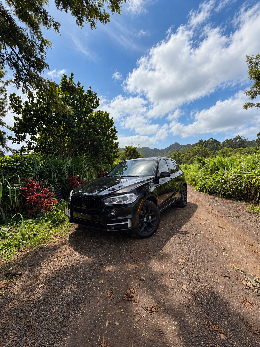 BMW X5 2015 in Ewa Beach, HI