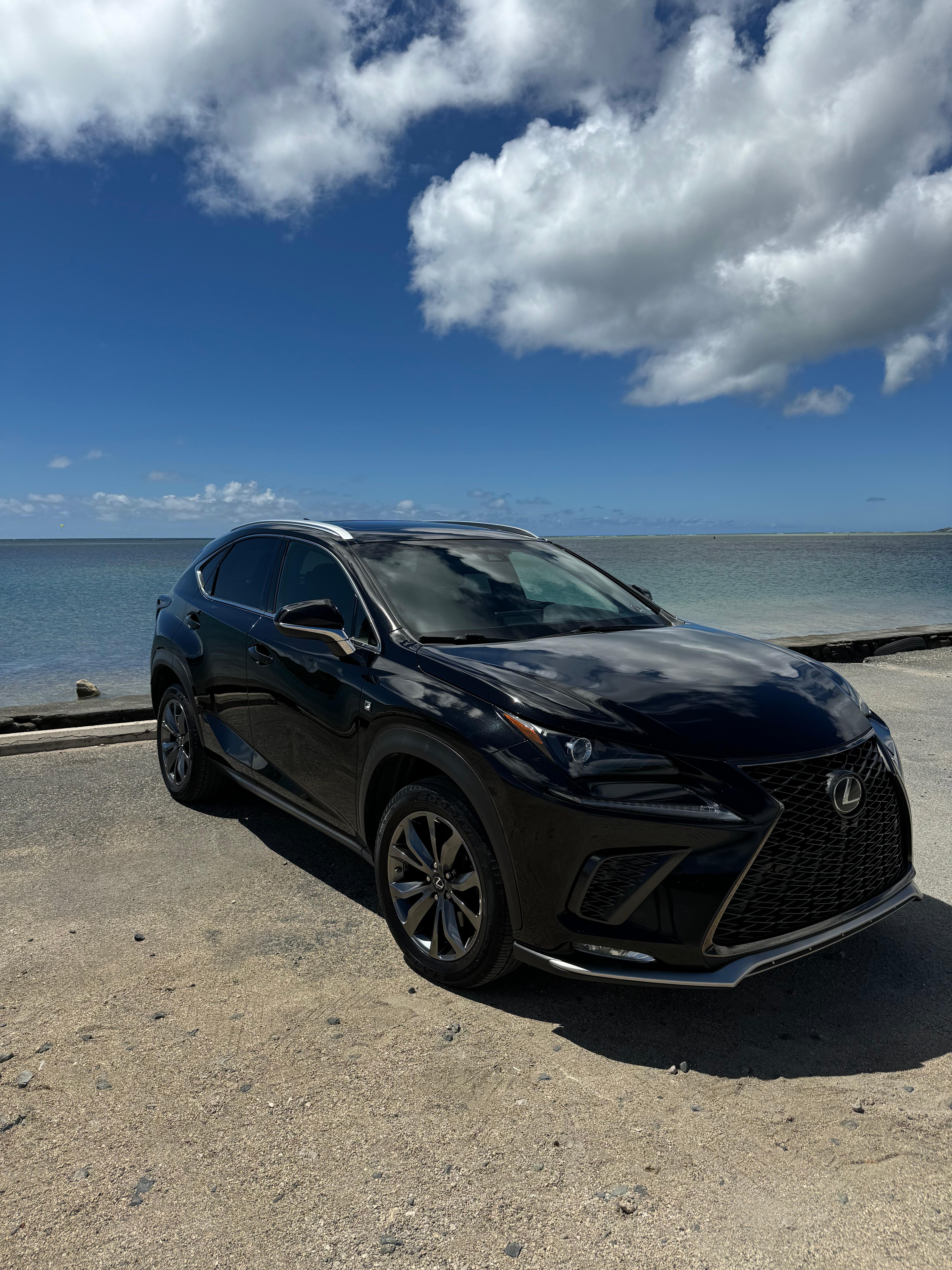 Lexus NX 2018 in 