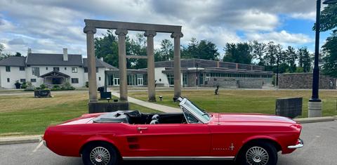 Ford Mustang  1967