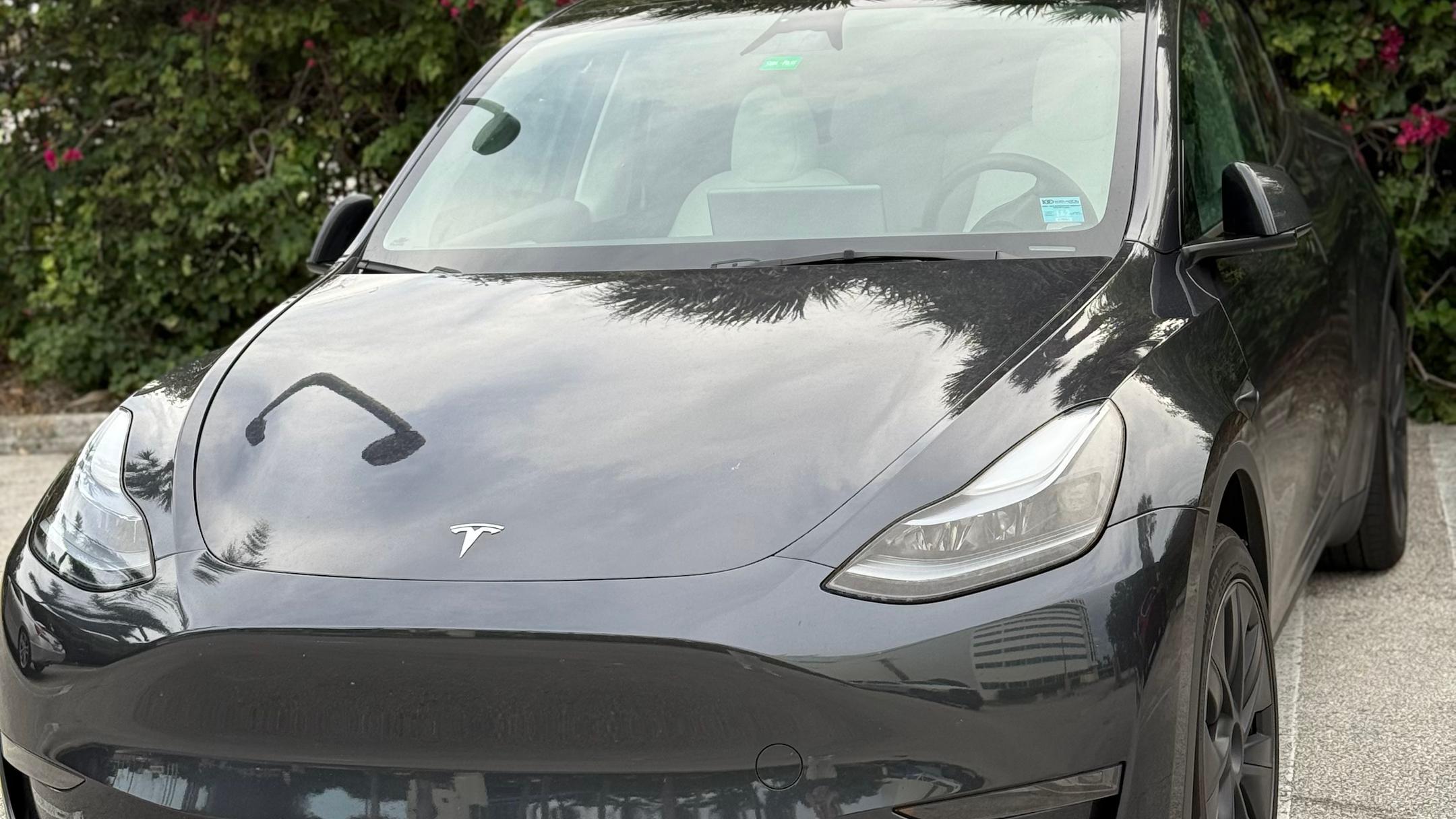 Tesla Model Y 2024 in Boca Raton, FL