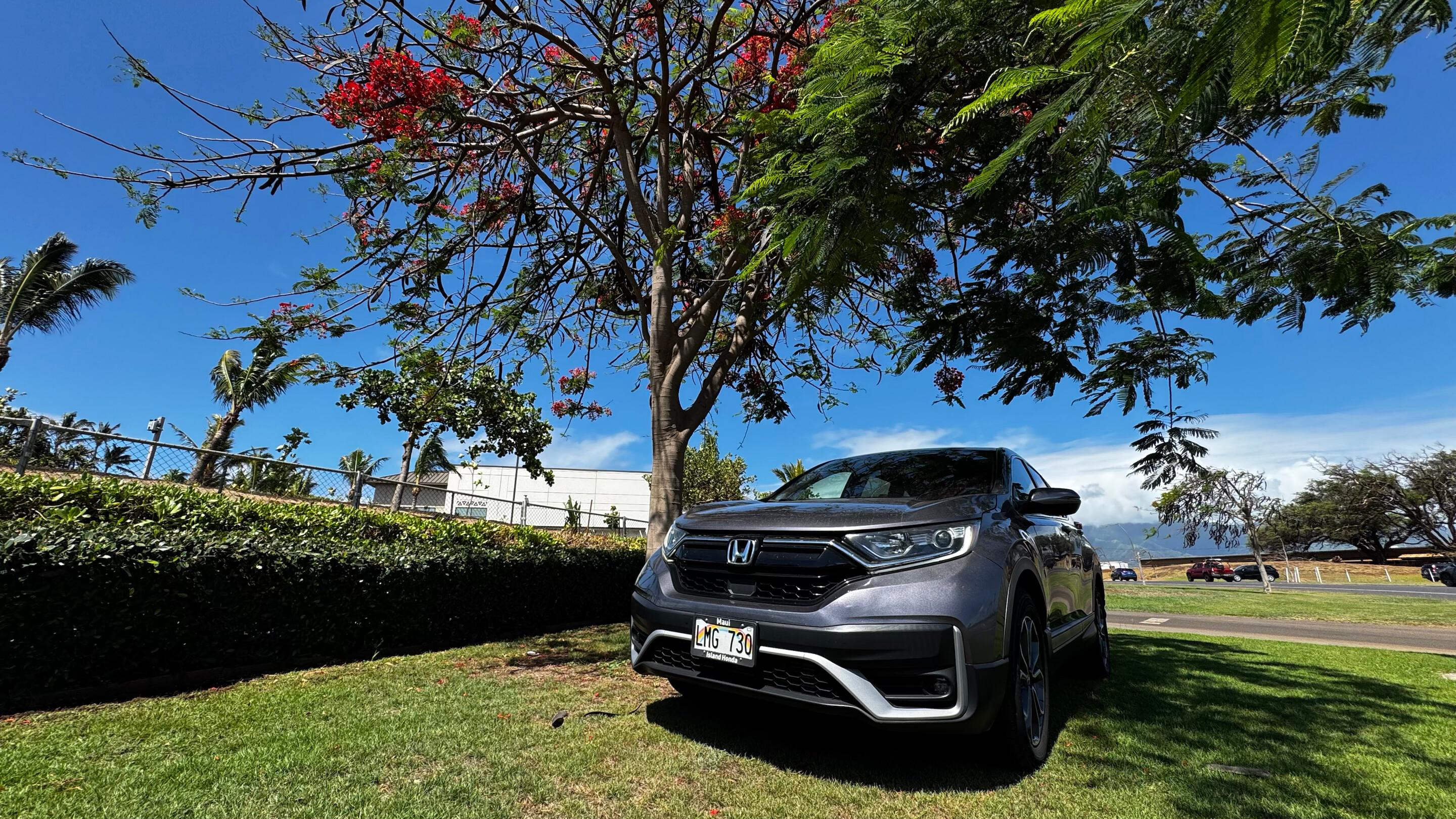 Honda CR-V 2022 in 