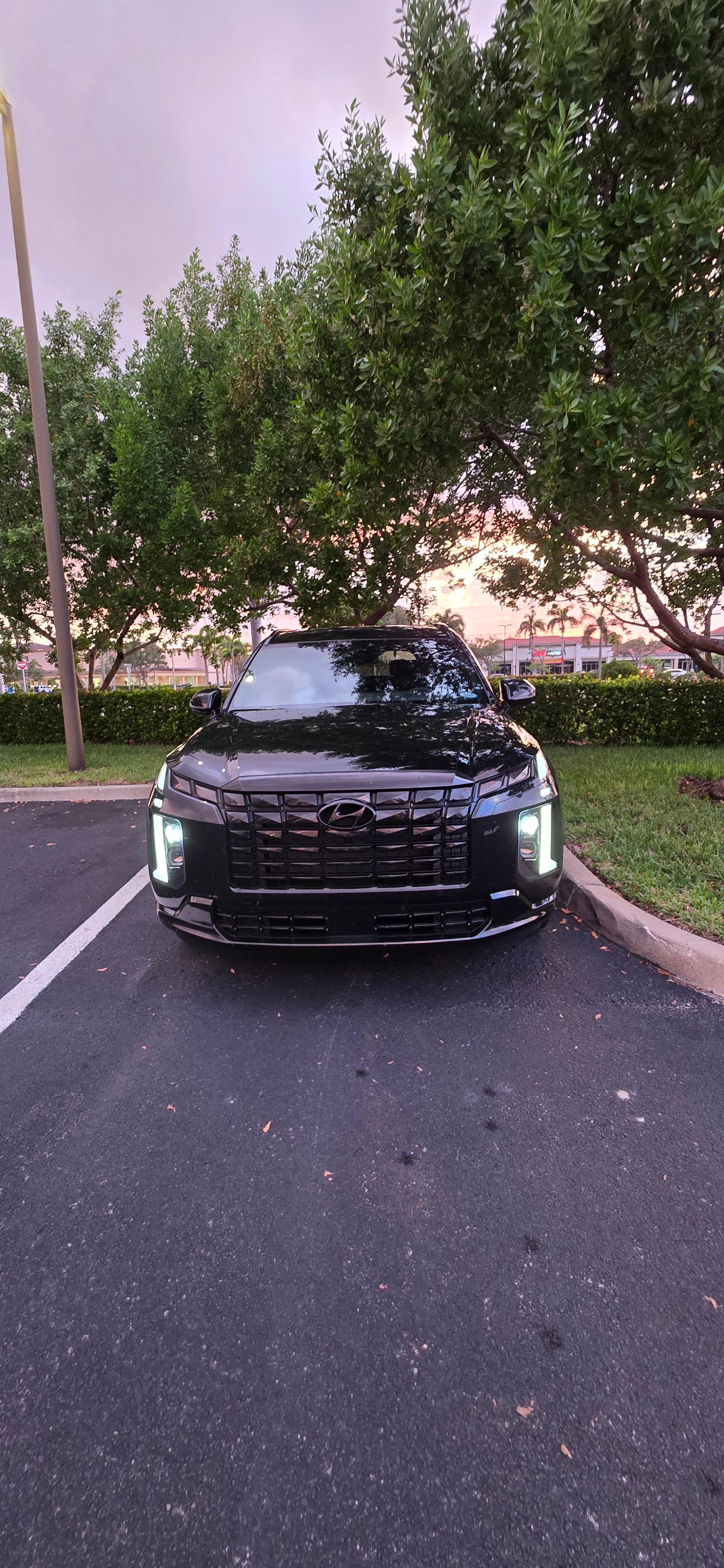Hyundai Palisade 2025 in Ave Maria, FL