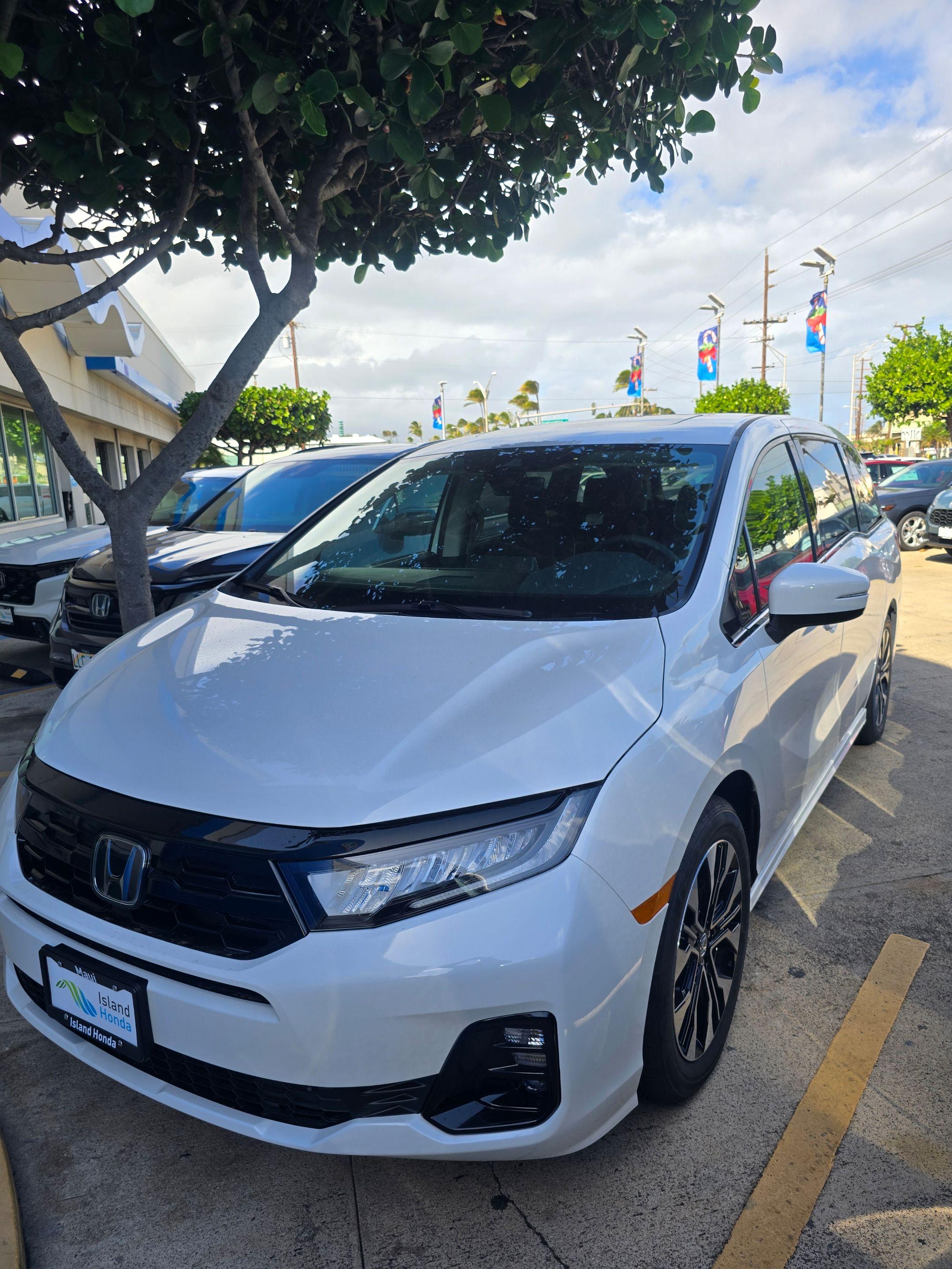 Honda Odyssey 2025 in Wailuku, HI