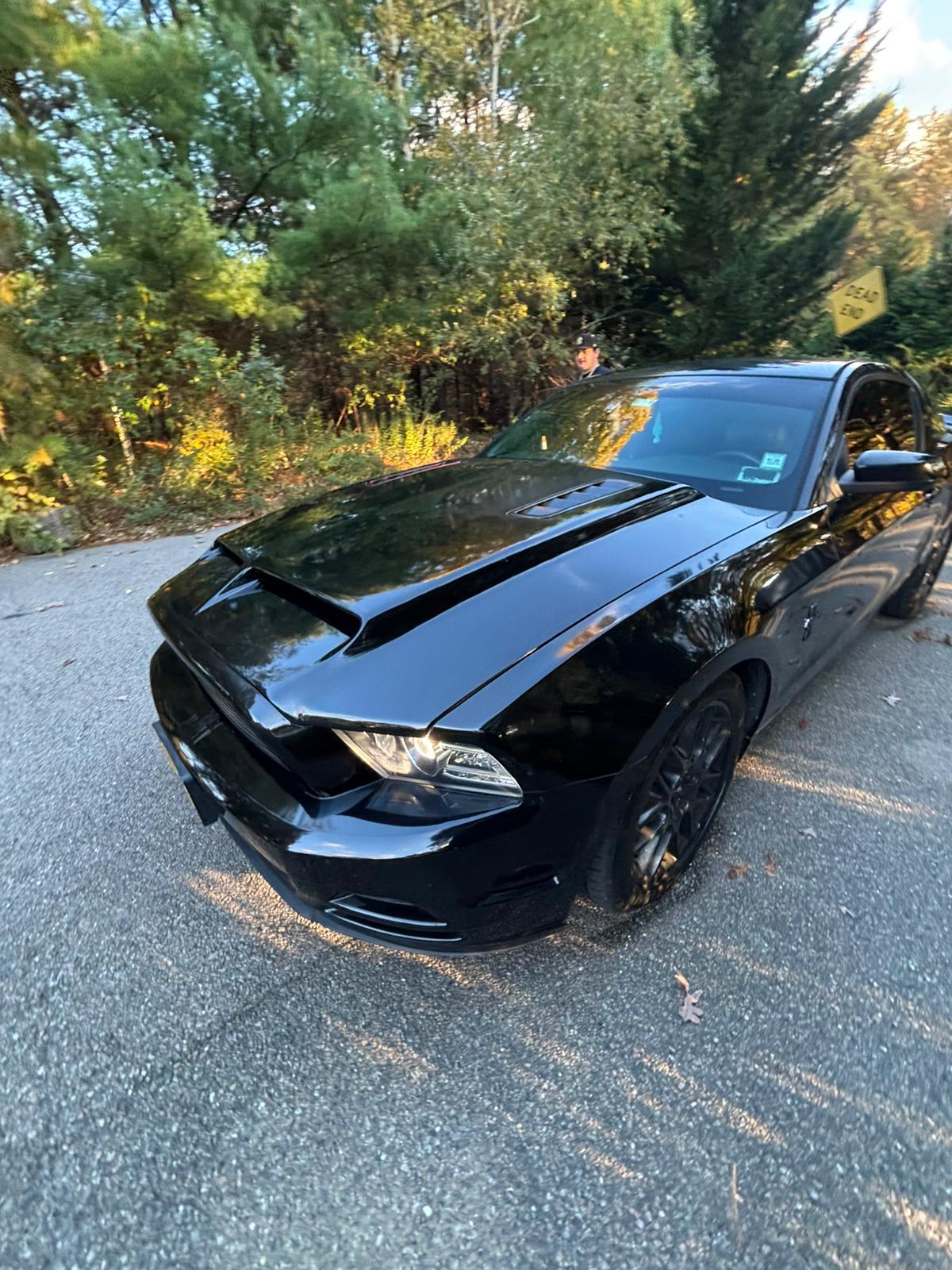 Ford Mustang 2014 in 