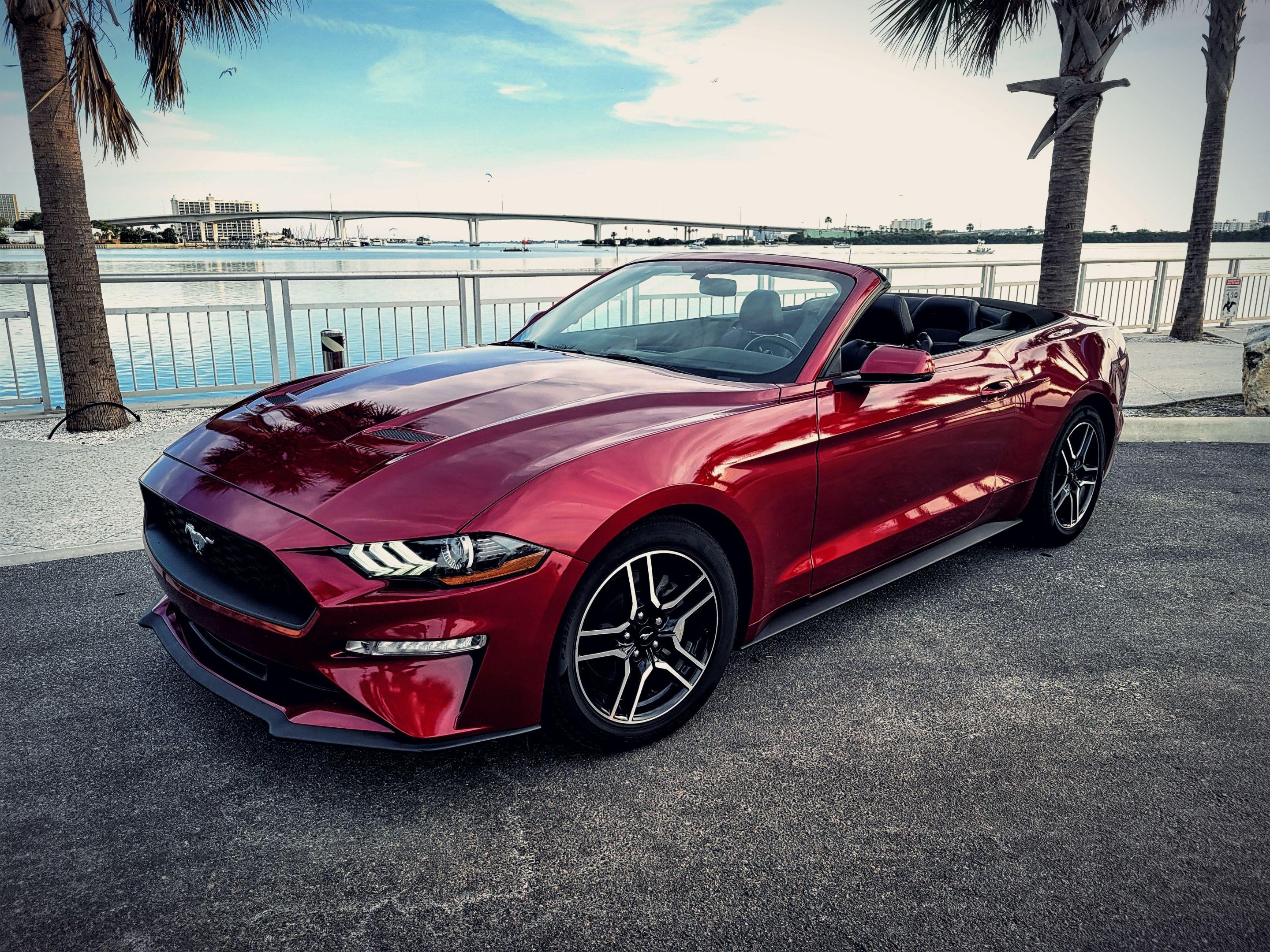 Ford Mustang 2019 rental in Clearwater, FL by Aidas | Turo
