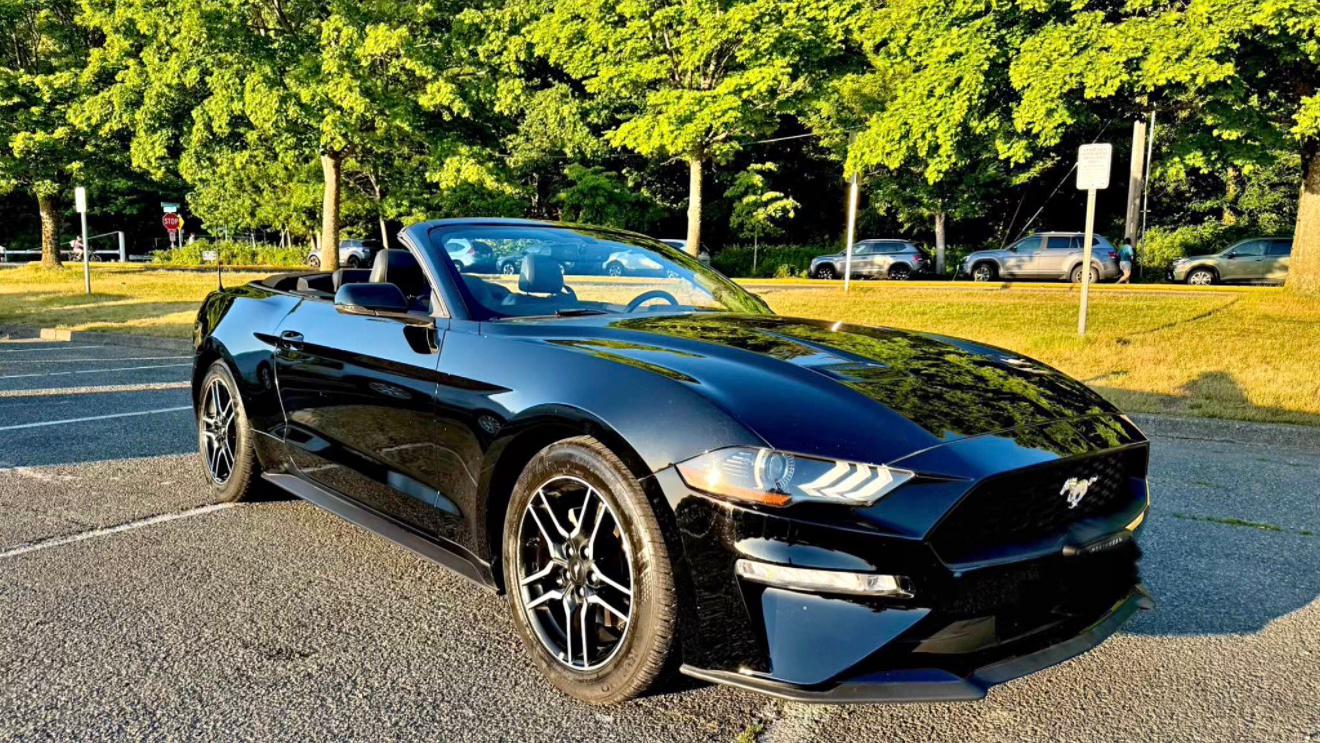 Ford Mustang 2019 in Garden City, MI