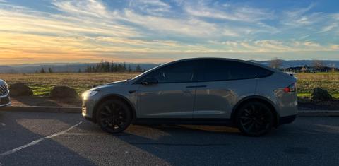 Tesla Model X 2020