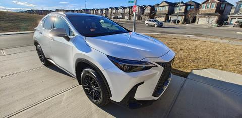 Lexus NX 2024