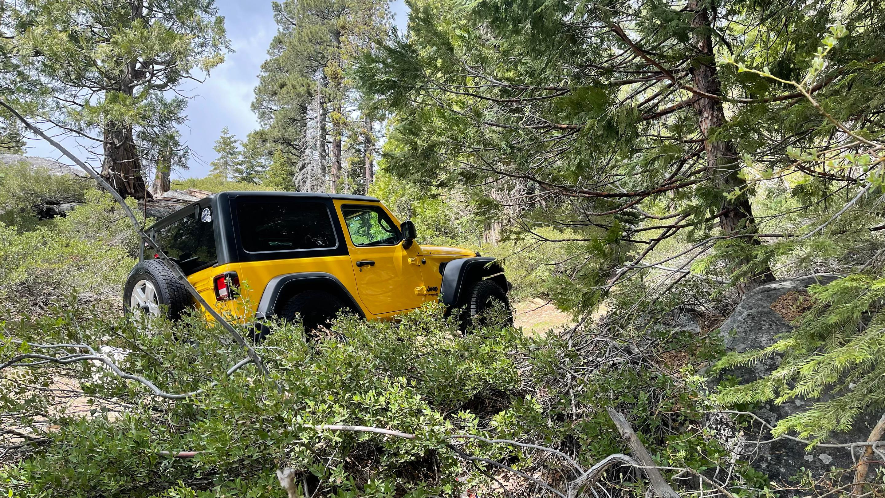Jeep Wrangler 2021 in 
